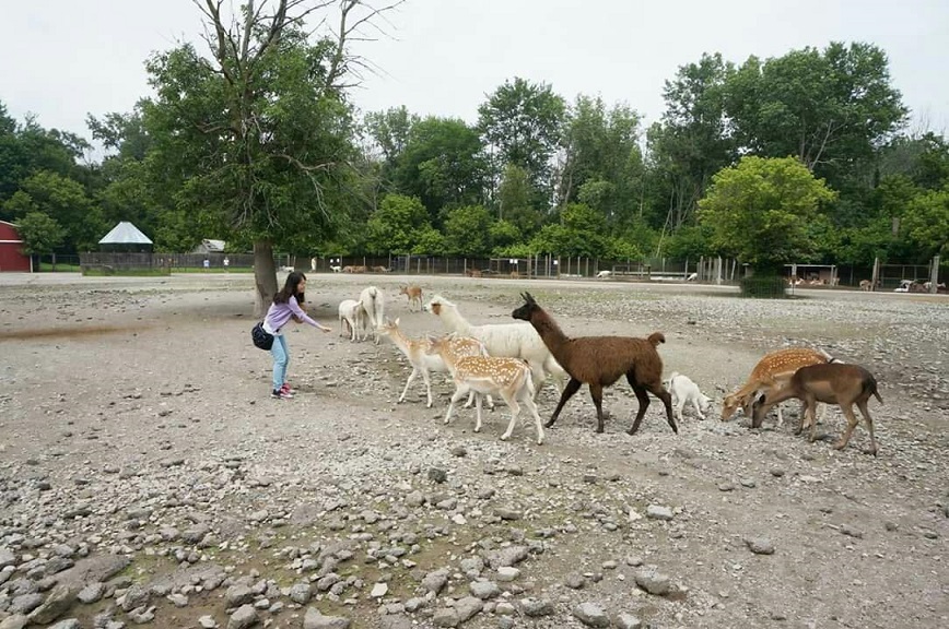 Lagoon Deer Park