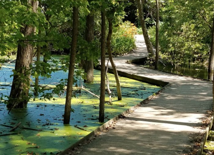 Sheldon Marsh Nature Preserve