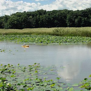 Sheldon Marsh Nature Preserve