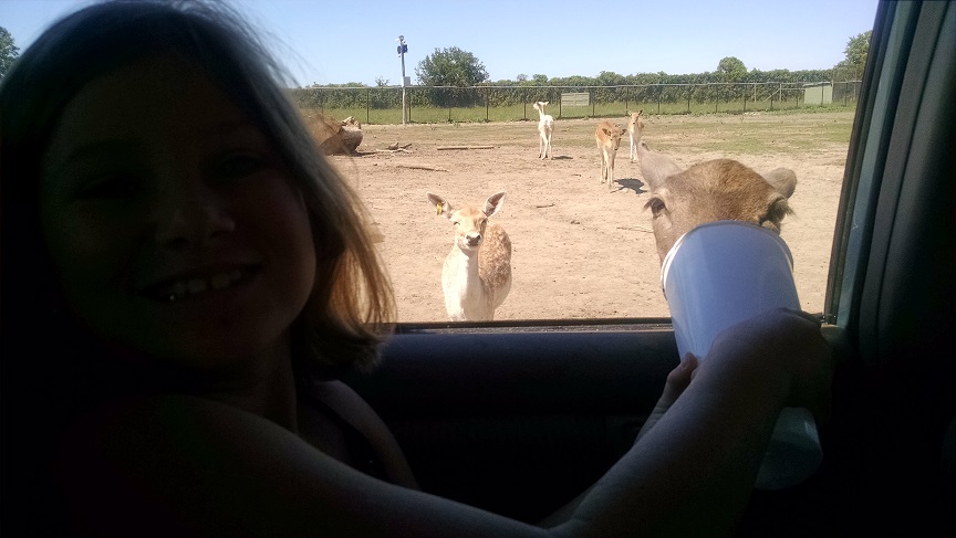 African Safari Wildlife Park