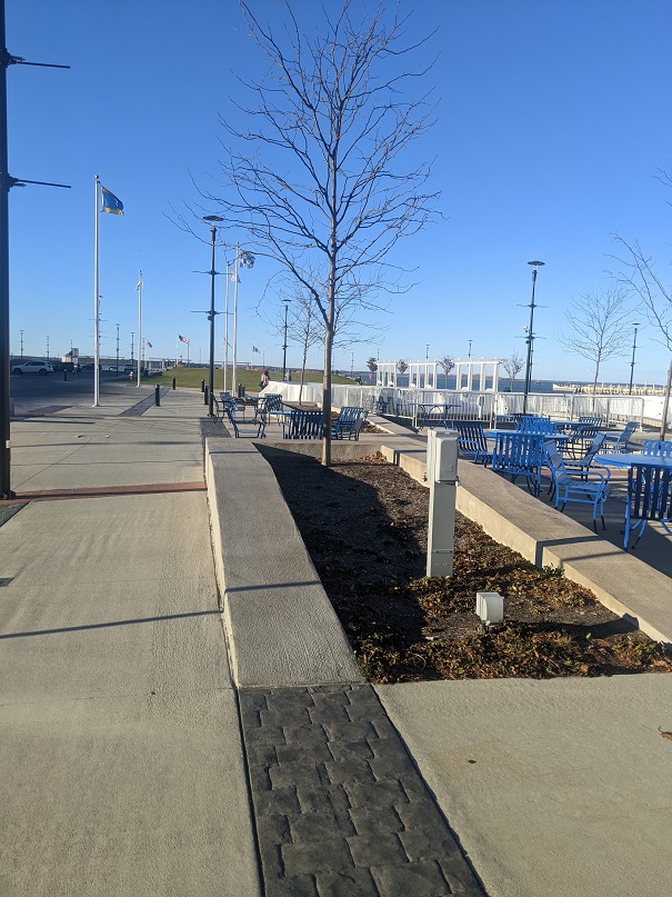 Jackson Street Pier