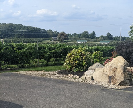 Quarry Hill Winery